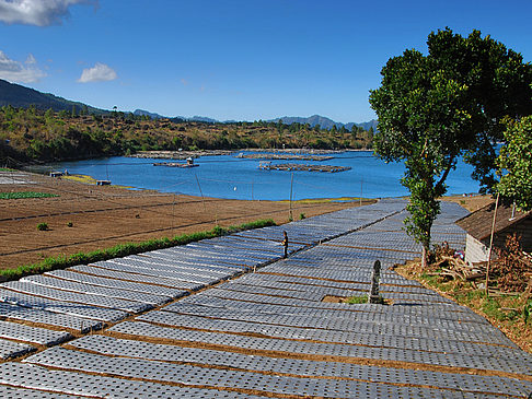 Danau Batur Foto 