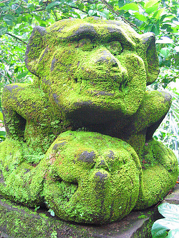 Fotos Monkey Forest | Ubud